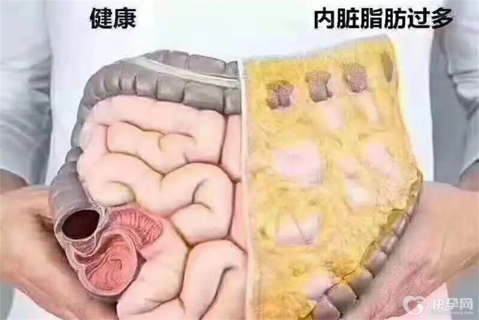 减内脏脂肪最有效的5个方法，让你轻松摆脱大肚腩