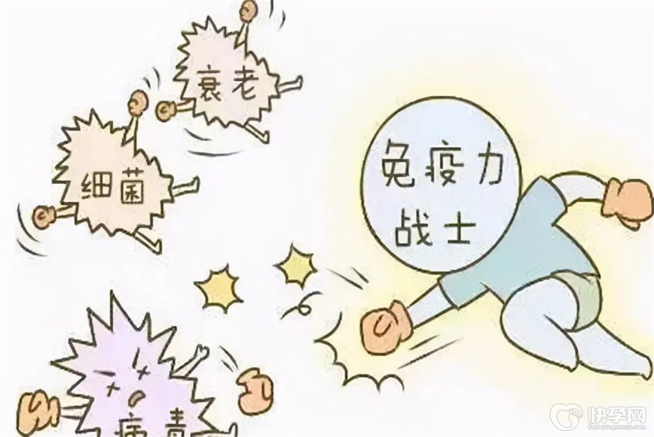 十大提高免疫力的食物排行榜，常吃打造百毒难侵之身