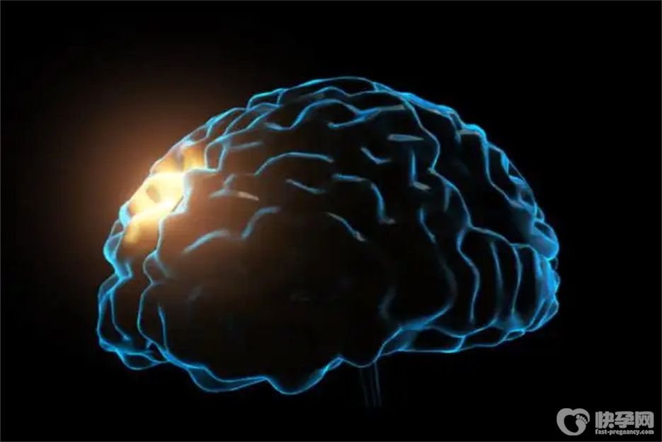 健康指南：十大补脑食物排名，比营养品强多了