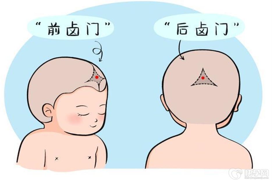 宝宝囟门早闭有哪些征兆？若出现这3种情况时就需要注意了