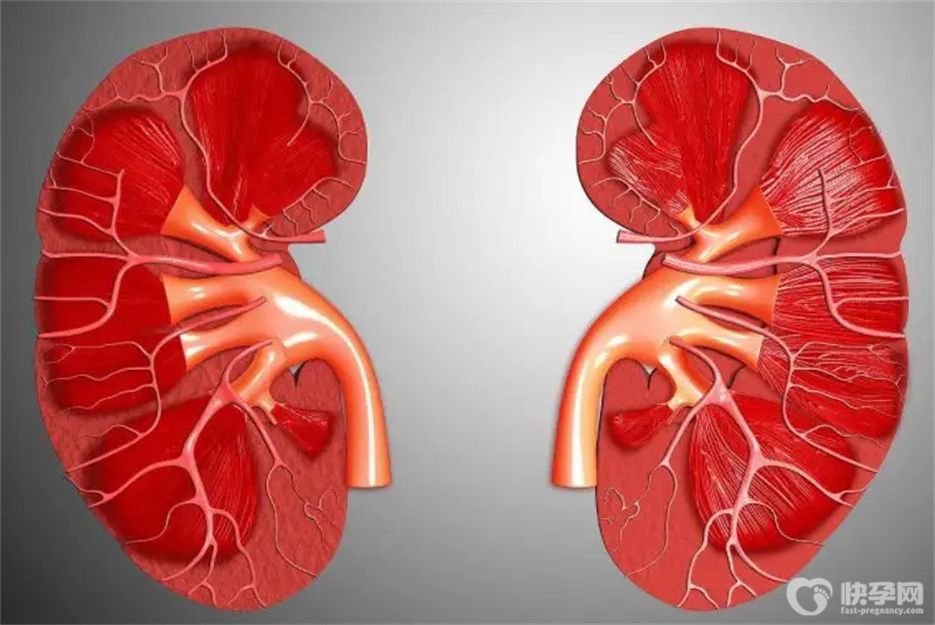 十个征兆说明肾功能在下降，快来看看你中了几个？