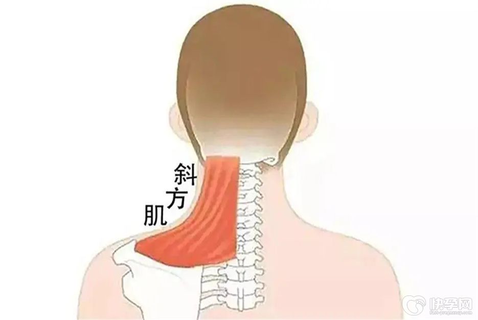 消除斜方肌最快的6个方法，练出迷人天鹅颈