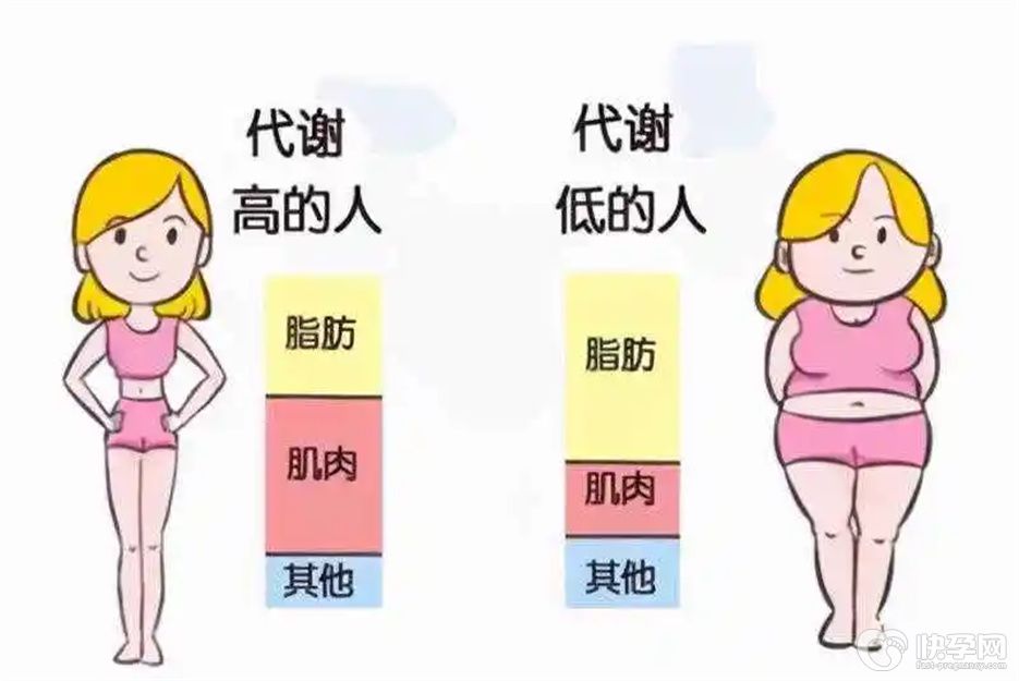 新陈代谢慢怎么调理快？做好这七点让你成为易瘦体质