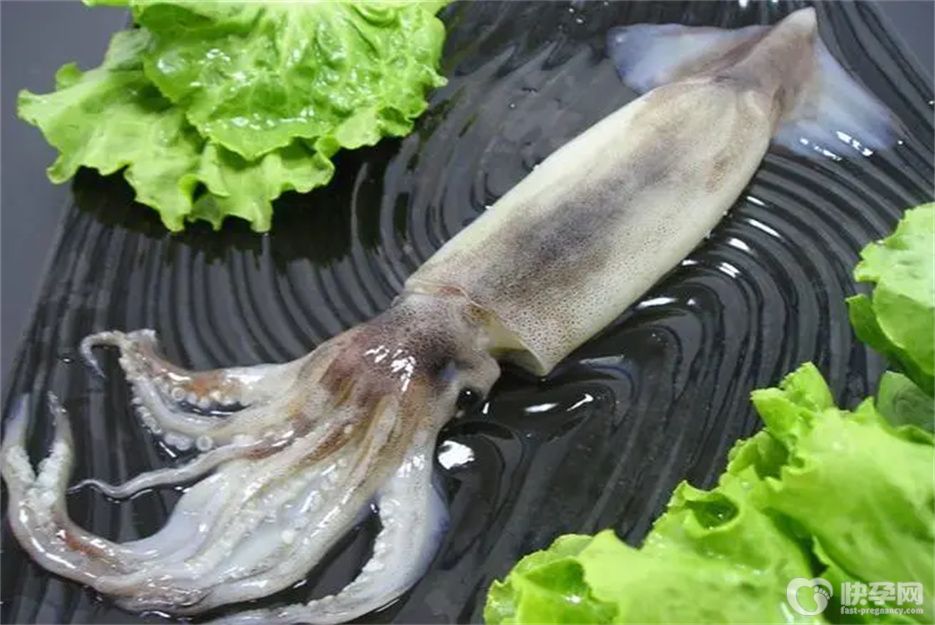 吃完鱿鱼千万别碰5种食物，别再傻傻不知情了