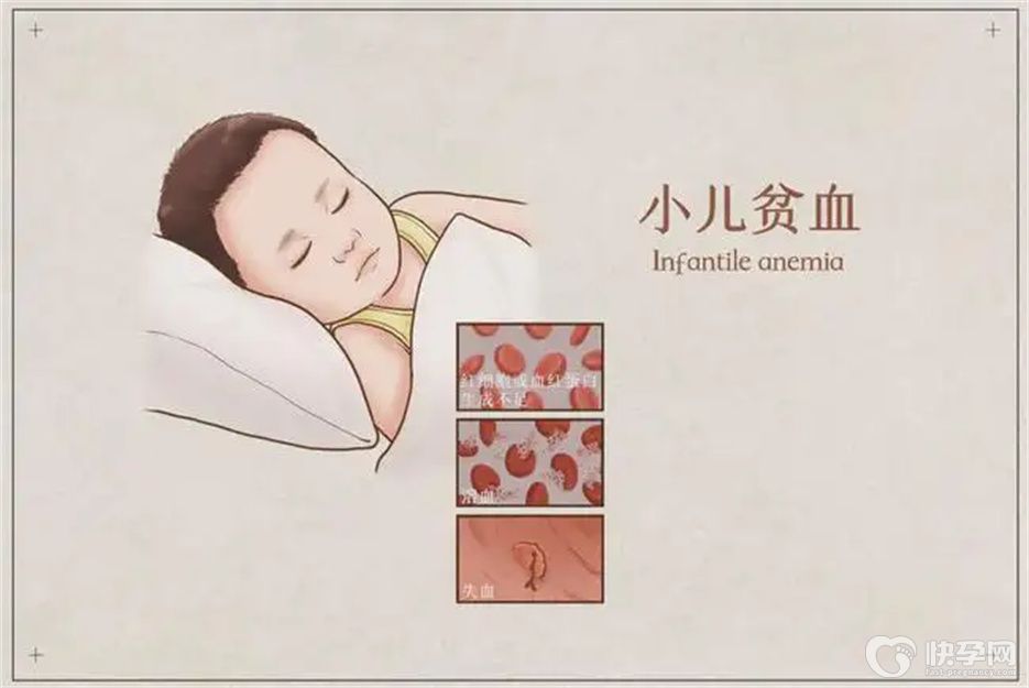 儿童补血吃什么食物最好？这六种食物是不错之选