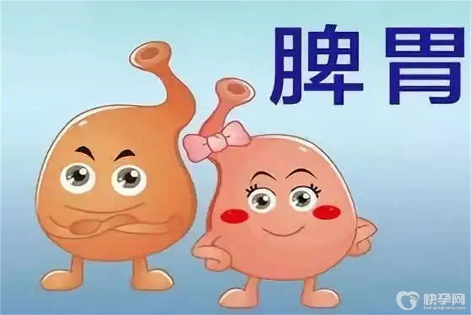 脾湿吃什么食物效果最好？常吃六种食物健脾养胃又除湿