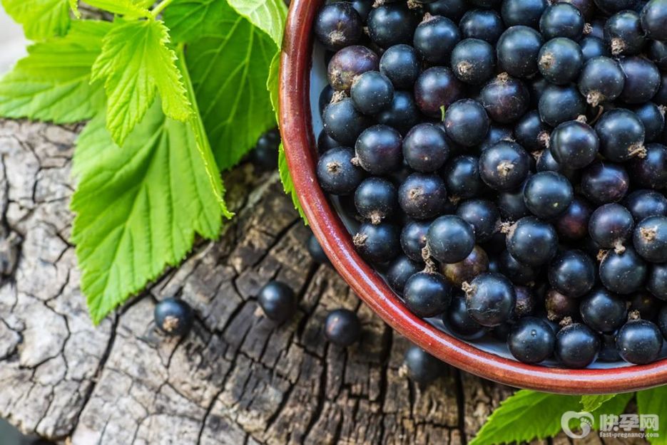 科普女人吃黑加仑的好处，不仅气血足手脚暖还不长肉