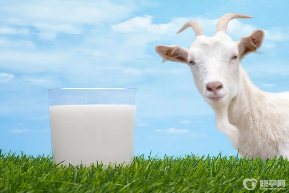 盘点羊奶六大神奇功效，现在知道还不算太晚
