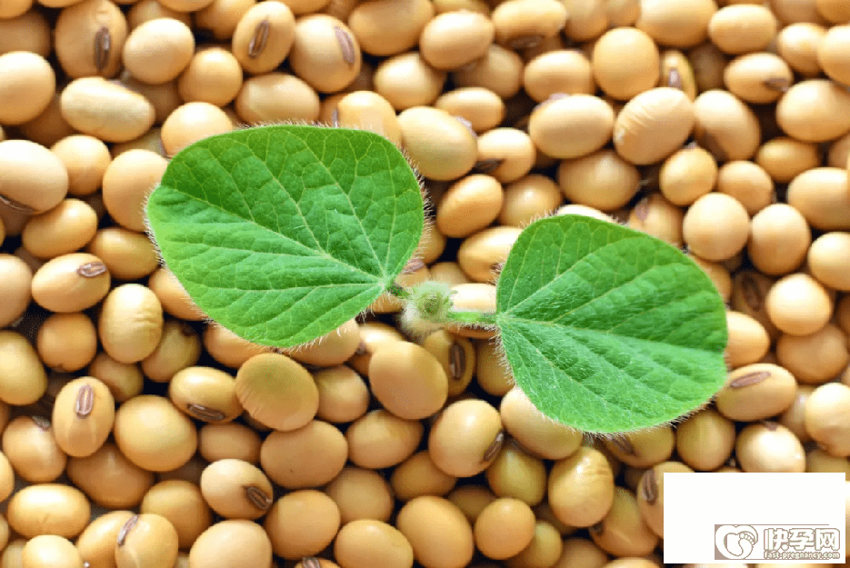 豆类蛋白质含量排名，常吃这6种豆胜过吃肉