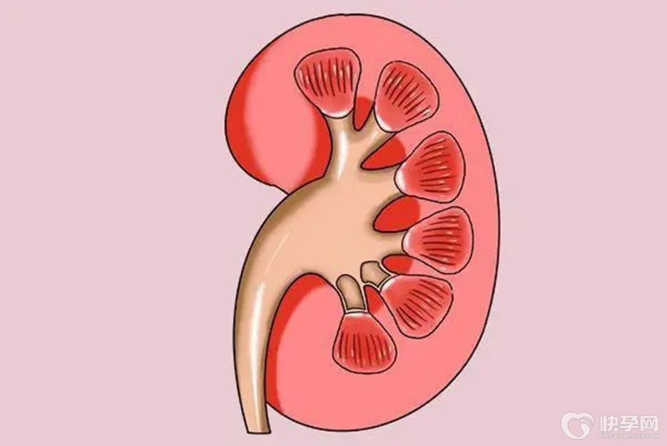 肾病能吃的最佳十种蔬菜，照着吃让尿毒症远离你