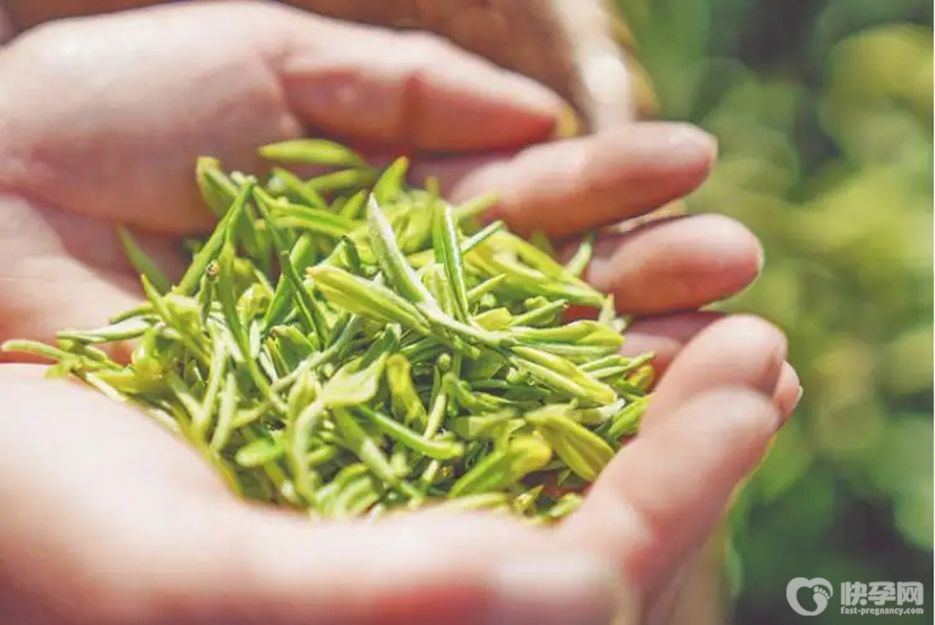 茶多酚对人体的危害，服用过量会损害肝脏