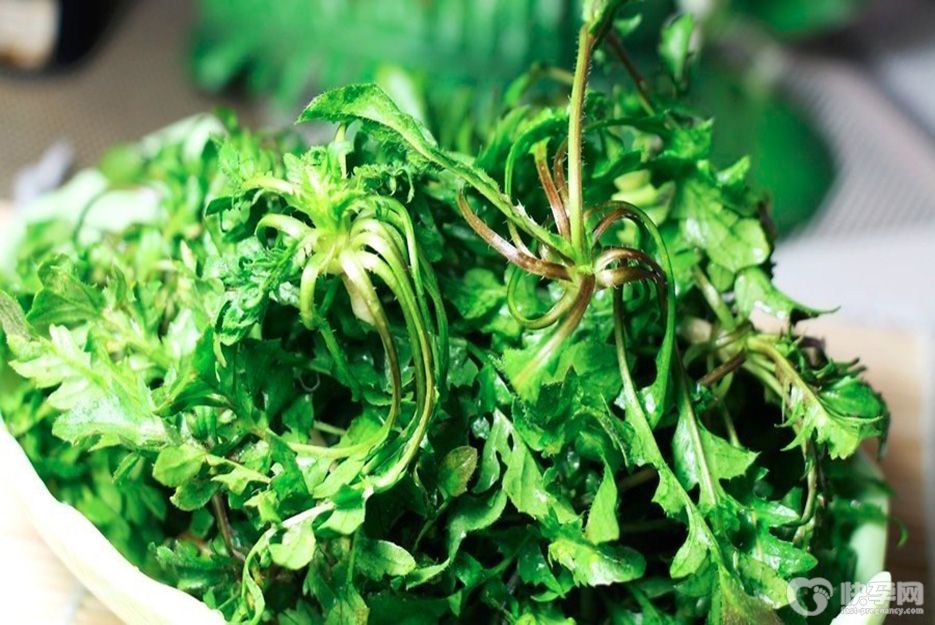 孕妇不能吃的三种野菜，轻则腹痛重则流产！
