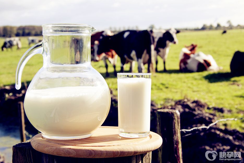 牛奶和蜂蜜能一起喝吗？能，蜂蜜和牛奶一起喝的好处分享