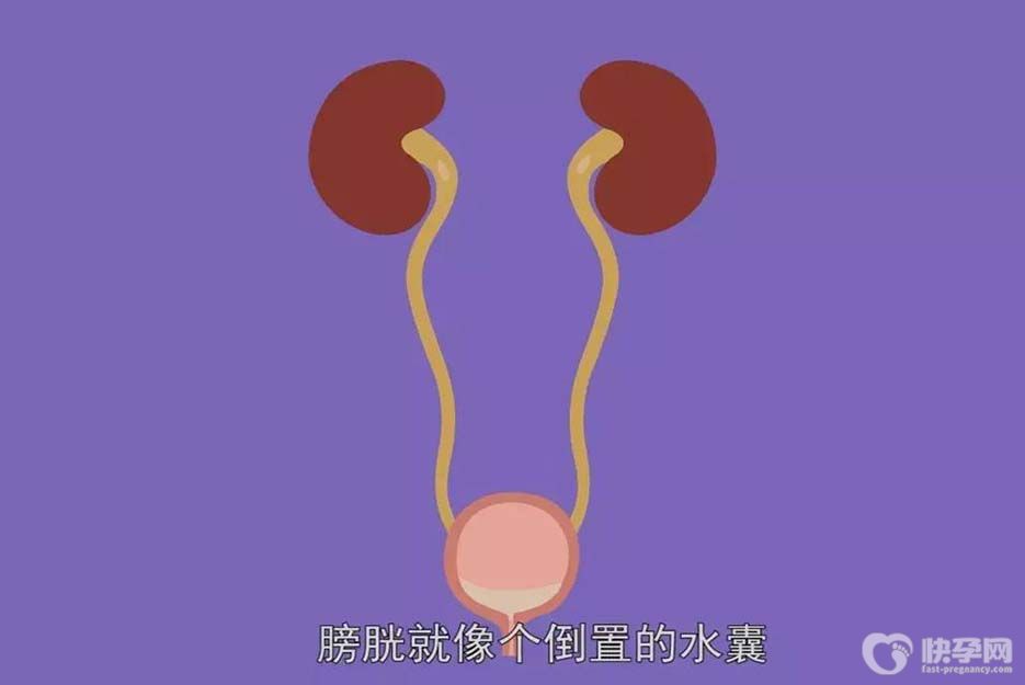 膀胱炎最怕三种食物，有需要的赶紧安排上