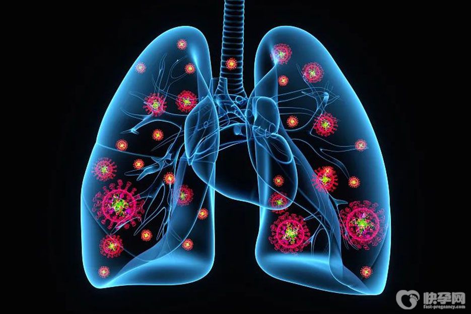 盘点保护肺部的十种食物，清除肺部垃圾，养肺更润肺