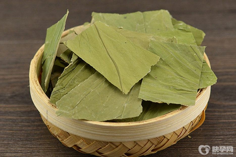 盘点荷叶泡水喝的害处，长期喝荷叶茶竟有6个副作用