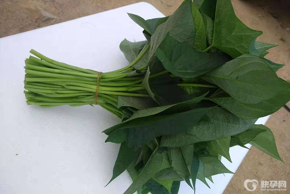 红薯叶哪三类人不能吃，看看你适合吗？