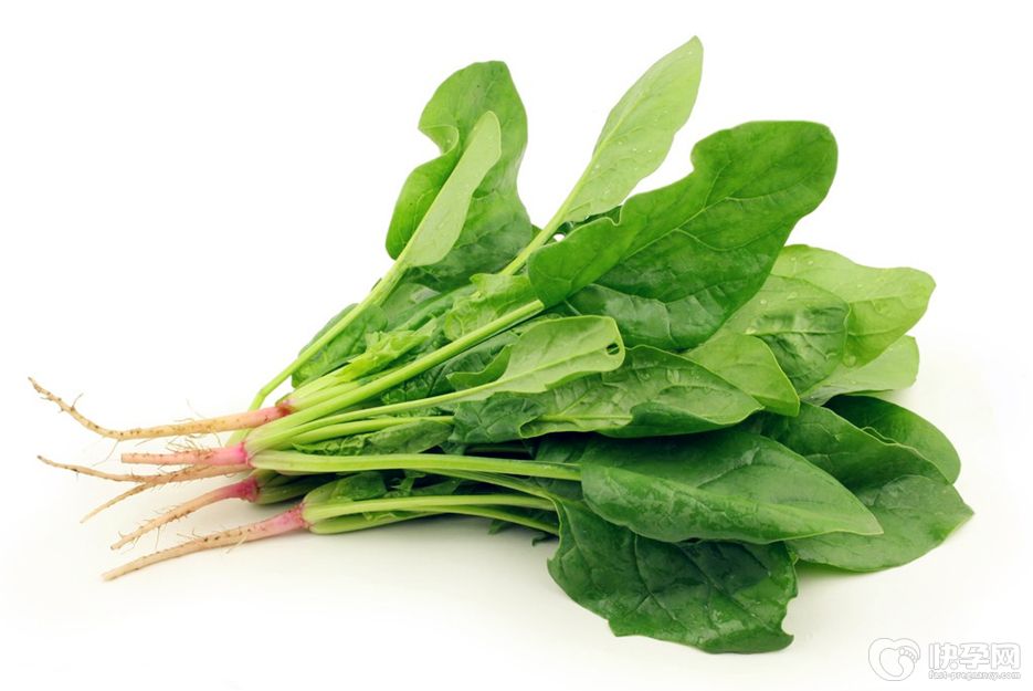 吃菠菜有什么禁忌吗？吃完菠菜千万别碰5种食物！