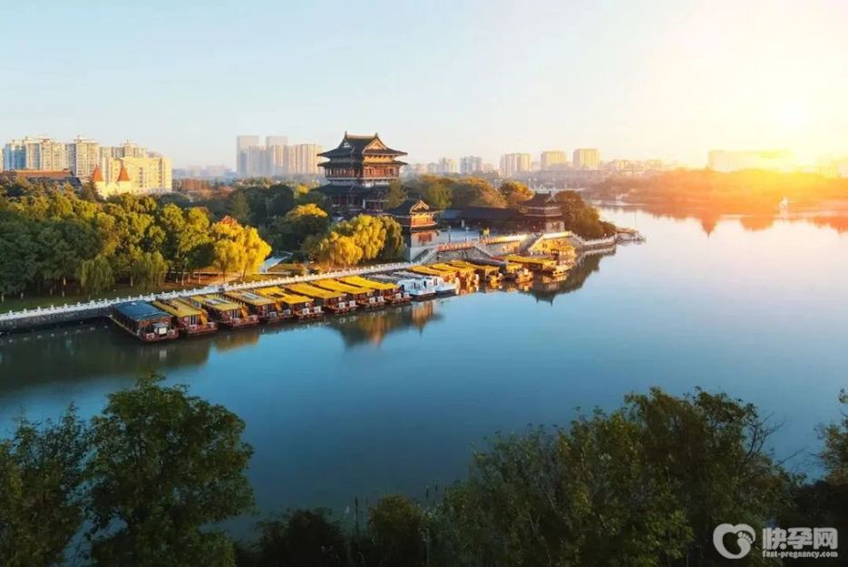 泰安捐卵试管成功率医院排名，附2025泰安捐卵排队时间参考