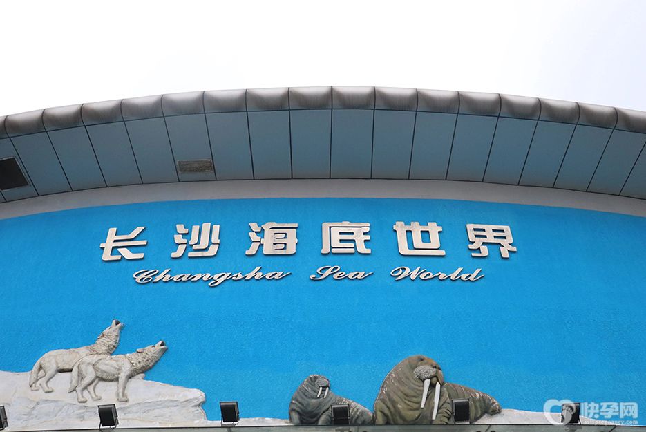 2025长沙室内好玩的地方推荐，让你玩转阴雨天