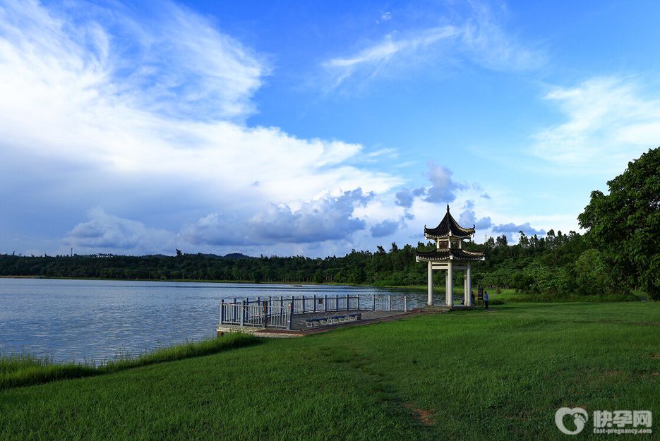 2025湛江旅游必去的5个景点，湖光岩、东海岸位列前三