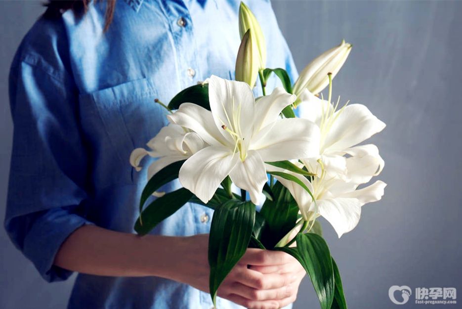 百合花有什么象征意义？2025赠你百合花的花语和寓意