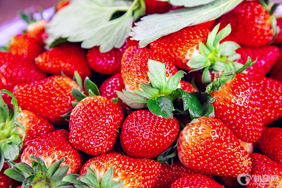 草莓功效与作用是什么？2025赠你草莓的功效与作用及营养价值