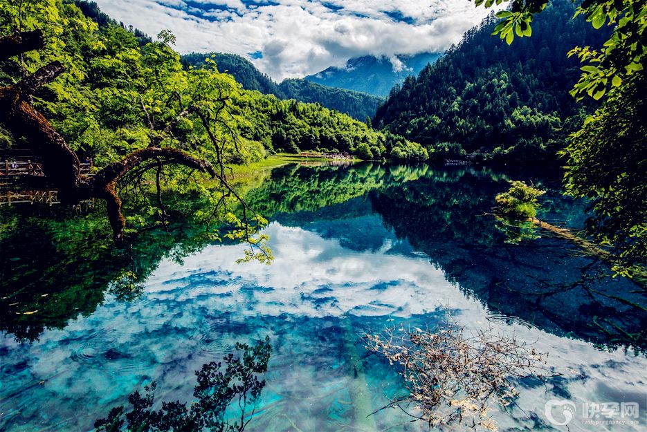 去九寨沟旅游要多少钱？九寨沟旅游费用预算解读