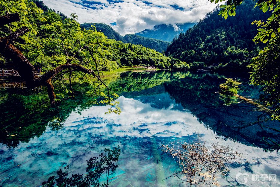 九寨沟旅游怎么玩？2025赠你九寨沟旅游攻略