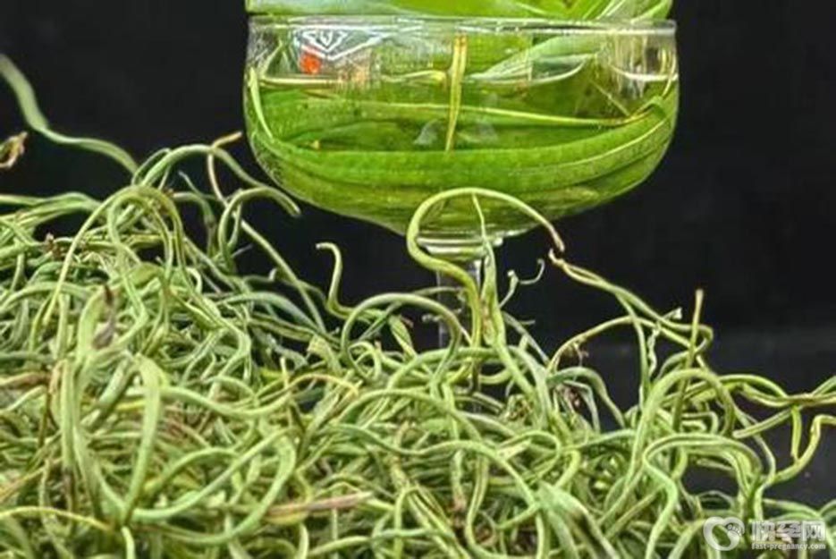 肾精草泡水喝的功效及禁忌，三类人群不宜饮用