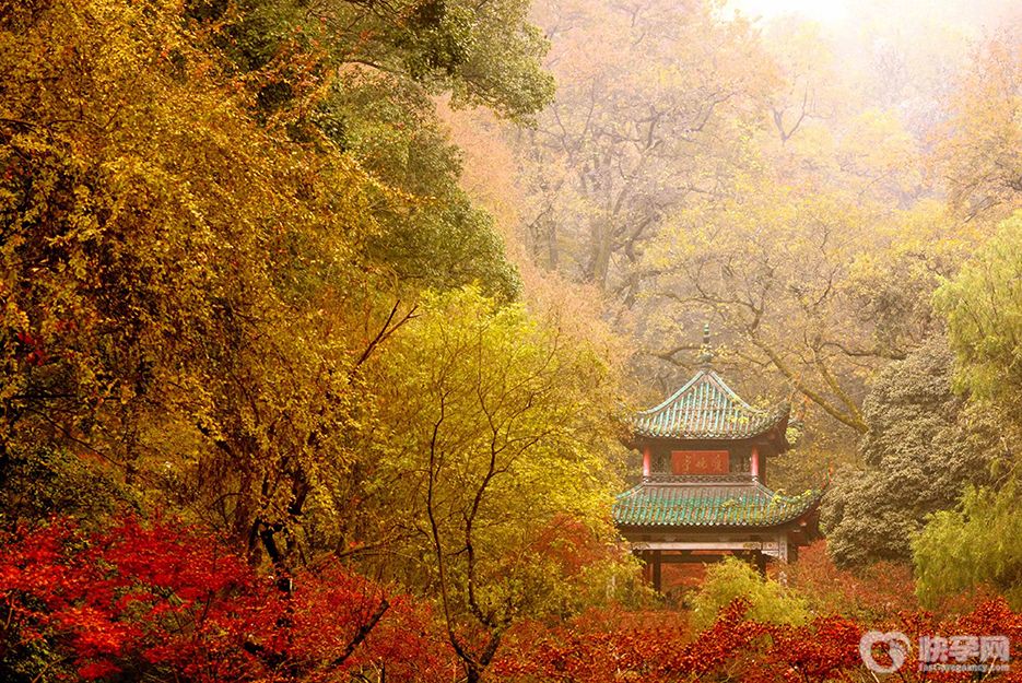 长沙有什么好玩的旅游景点？2025长沙必去的5个景点推荐