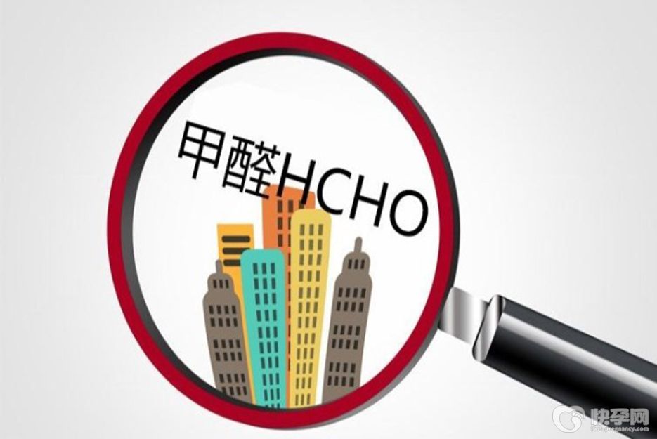 其实甲醛最怕3种花，养1盆可保护一家老小