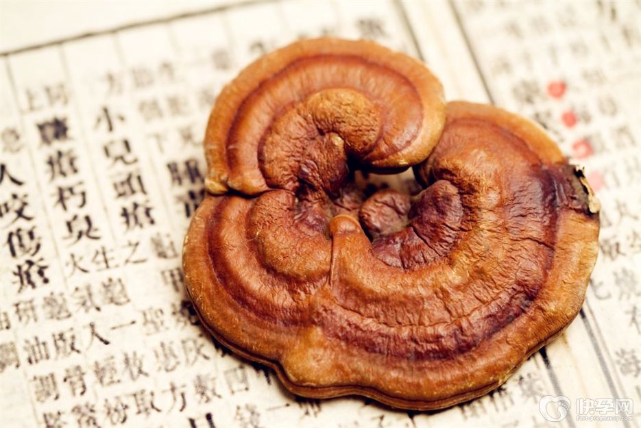 什么人群不宜吃灵芝？6种人不宜吃灵芝