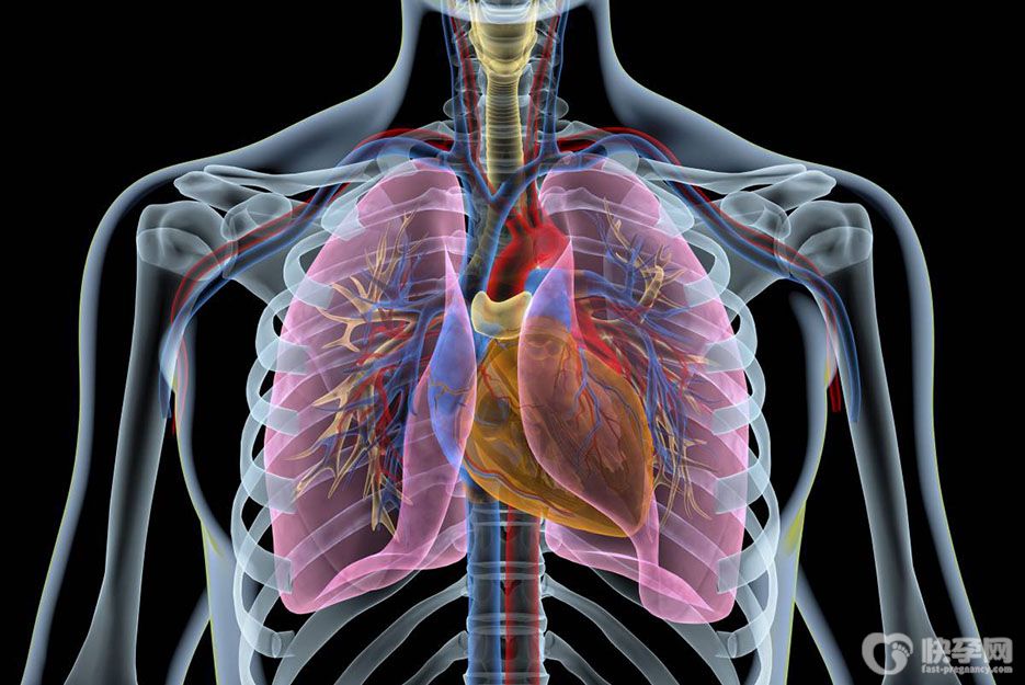 肺气虚是什么原因造成的？主要是这5个因素在作怪