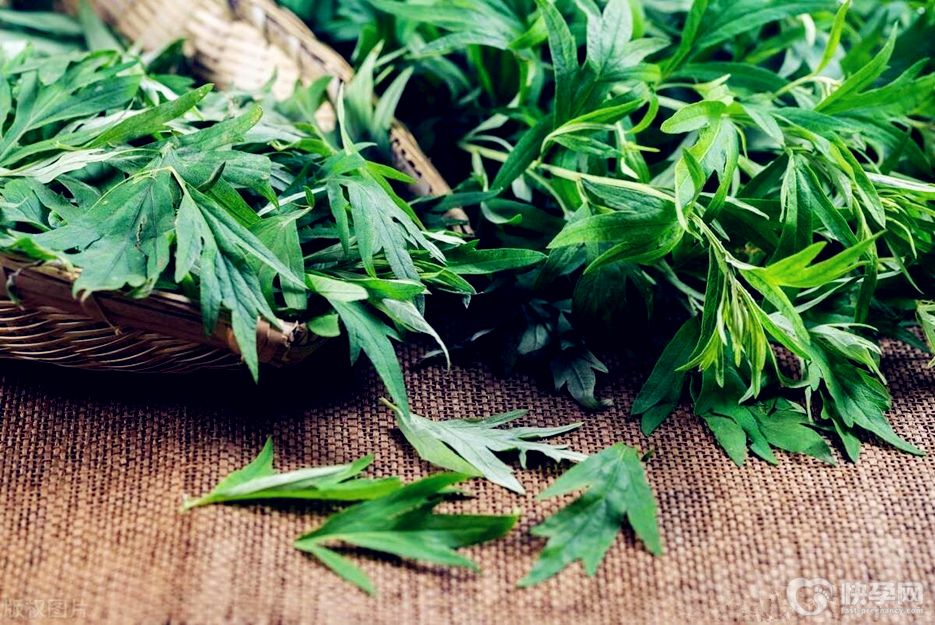 艾草有什么功效和作用？艾草的功效和作用解读
