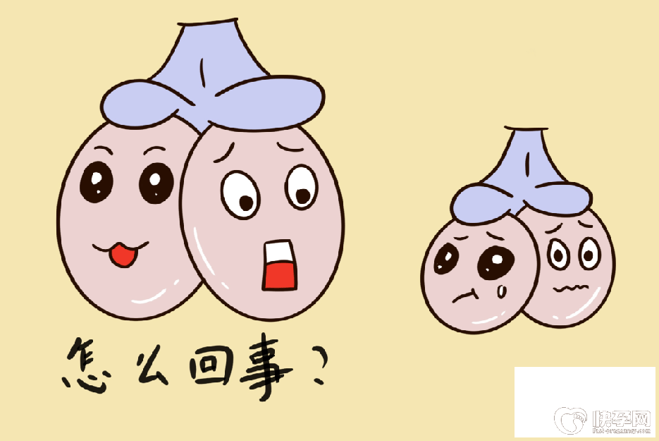 补睾丸的最佳方法，4个方法助你重振雄风