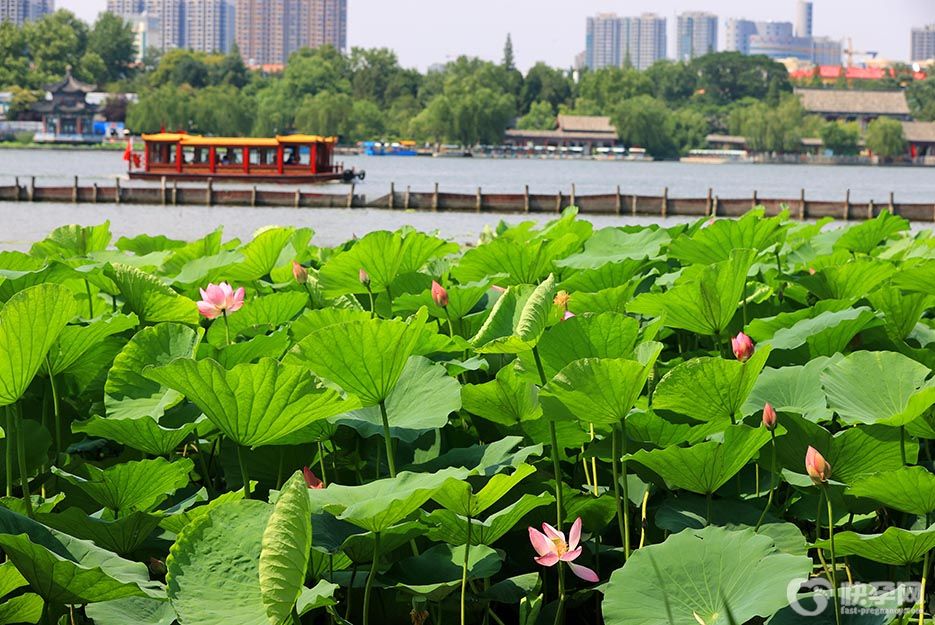 2025济南旅游攻略必去景点推荐，来一场说走就走的旅行