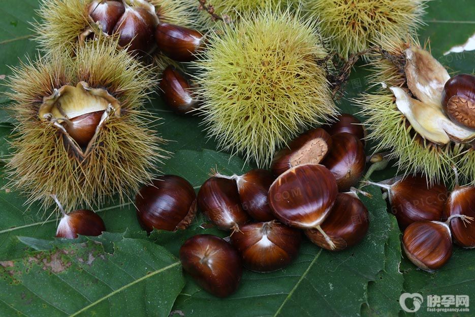 女人吃板栗有什么好处和坏处？好处再多也不要过量食用