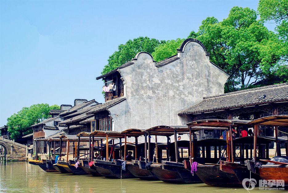乌镇旅游怎么玩好？2025乌镇旅游攻略自由行分享