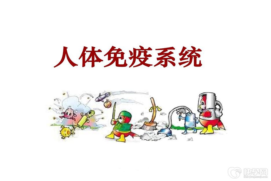 免疫系统的三大功能介绍，共同守护我们的健康