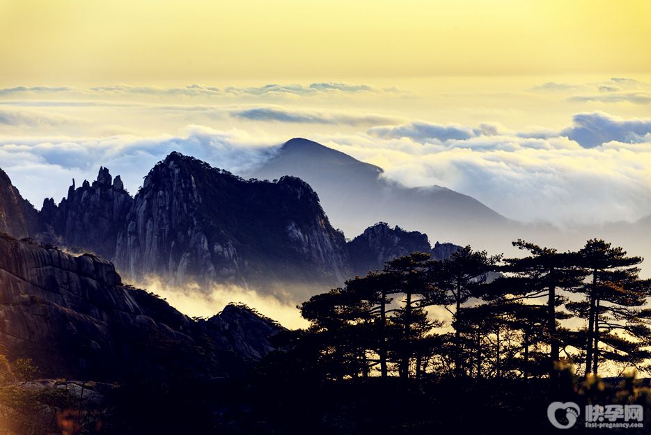 黄山旅游怎么玩最好？2025赠你黄山风景区旅游攻略