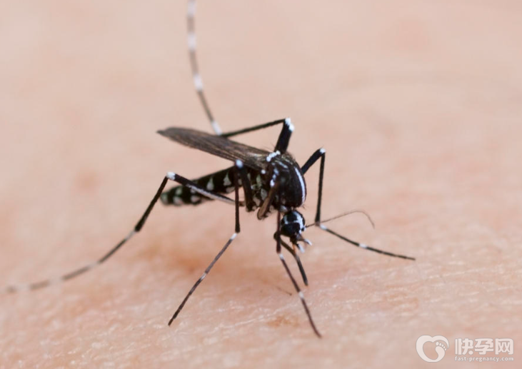 儿童驱蚊子最有效4个方法，安全无毒又可靠让宝宝安全过夏天