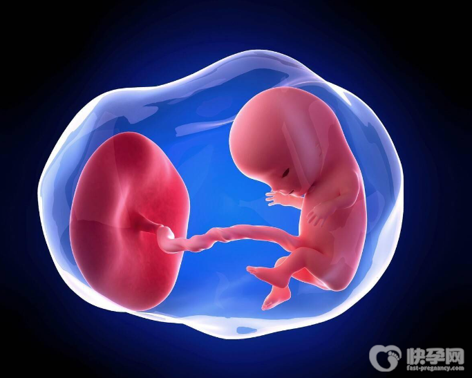 双顶径与孕周对照表,你家宝宝达标了吗