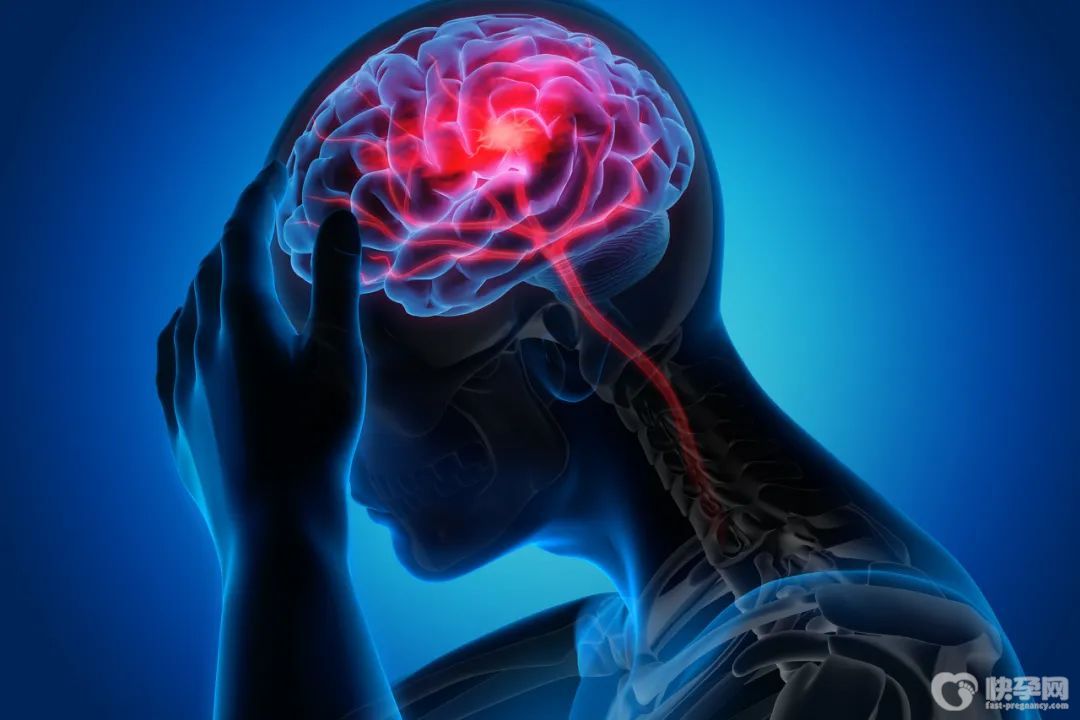 脑供血不足必吃的四大类食物，脑供血不足要怎么办？