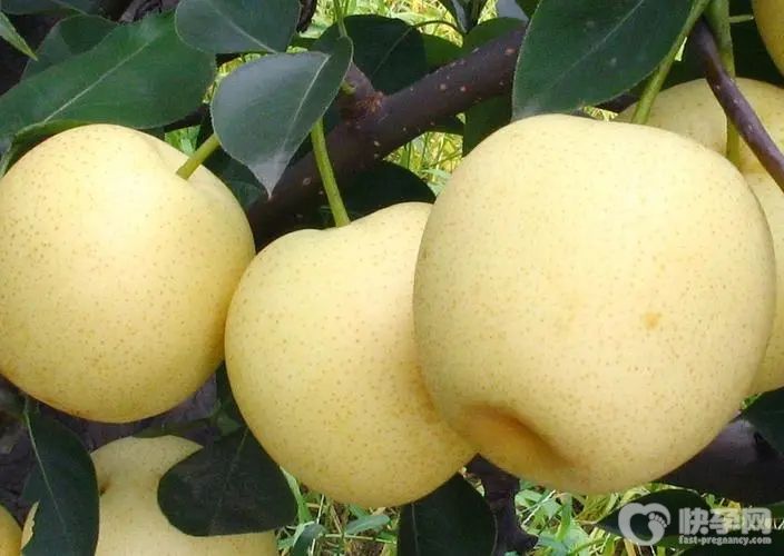 吃什么水果降火最快？夏天降火好的10大水果排行