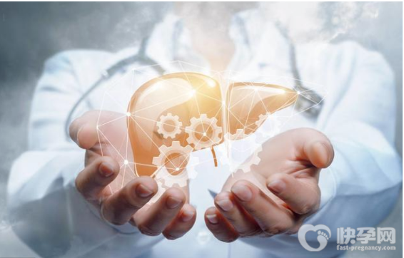 肝脏不好吃什么调理最好？肝脏不好有哪些症状？