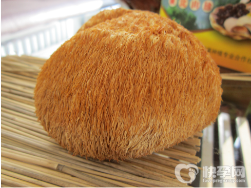 不宜吃猴头菇的六种人有哪些？猴头菇适合哪些人群？