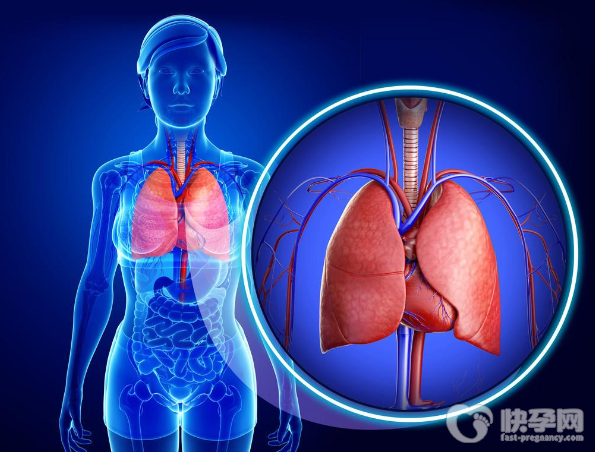 吃什么可以净化肺？7种食物清肺排毒要常吃