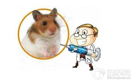 被老鼠咬了打什么疫苗好?被老鼠咬了不疫苗的危害？