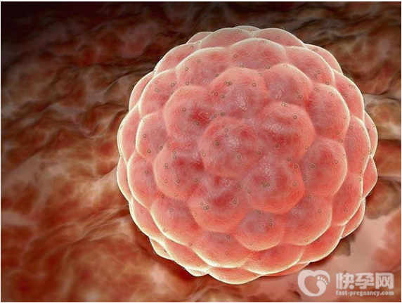 胚胎质量不好一般几周会胎停？如何备孕才能提高胚胎质量？